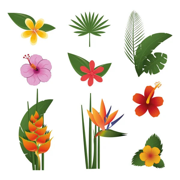 Bundle of flowers tropical exotics — Stock vektor