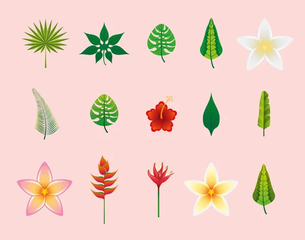 Fleurs et feuilles icône set vectoriel design — Image vectorielle