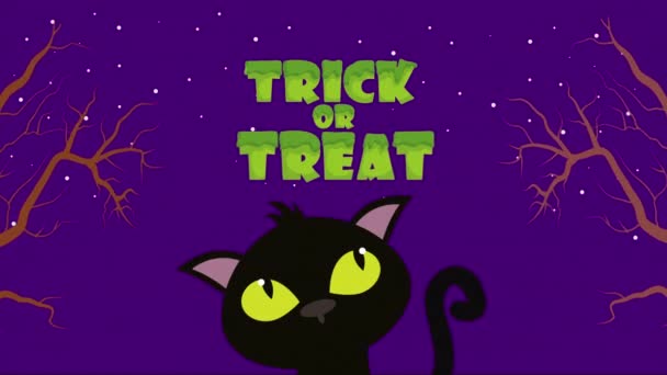 Halloween escuro cena com gato e galhos — Vídeo de Stock