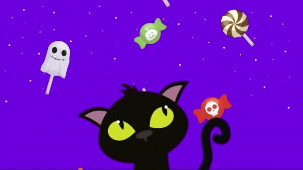 Halloween dark scene with cat and candies — Stock Video