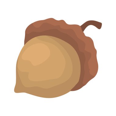 Sonbahar fındık yiyeceği izole edilmiş ikon