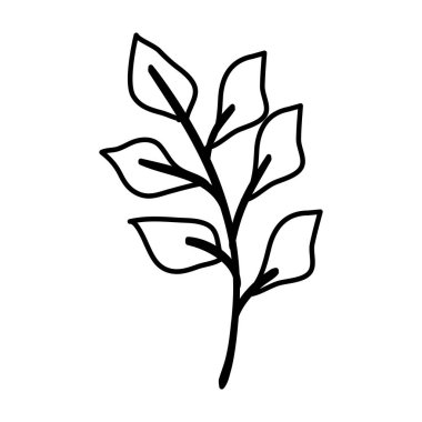 Yaprakları izole edilmiş sonbahar dalları