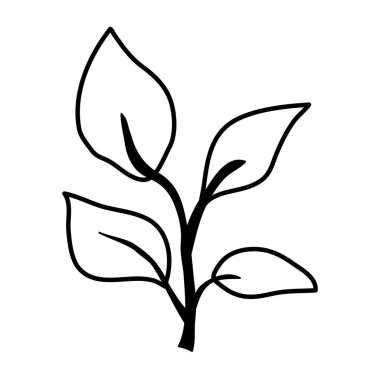 Yaprakları izole edilmiş sonbahar dalları