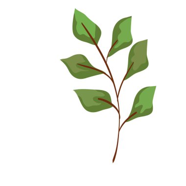 Yaprakları izole edilmiş sonbahar dalları