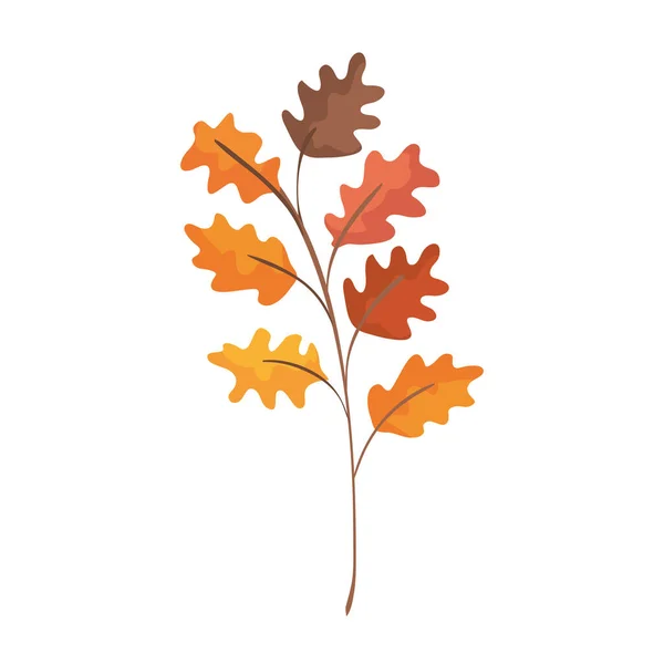 Őszi ág levelekkel izolált ikon — Stock Vector