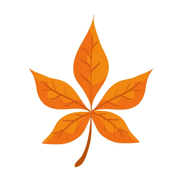 Herbstblätter Natur isoliert Symbol — Stockvektor