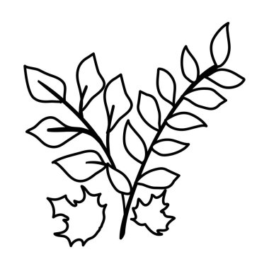 Yapraklı sonbahar dalları izole edilmiş simge