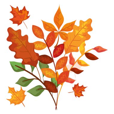 Yapraklı sonbahar dalları izole edilmiş simge