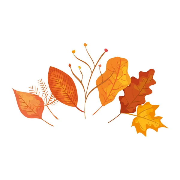 Hojas de otoño con ramas icono aislado — Vector de stock