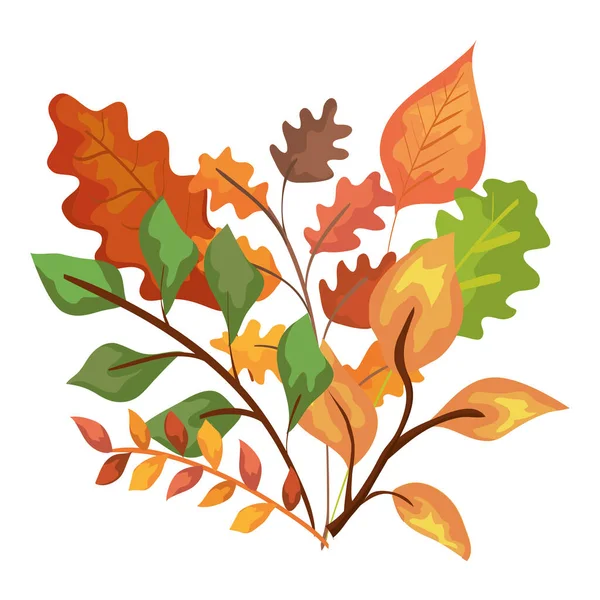 Ramas de otoño con hojas icono aislado — Vector de stock