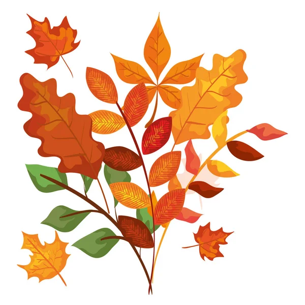 Autumn branches with leafs isolated icon — Stock Vector