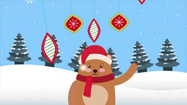 Feliz oso de navidad feliz en capa de nieve — Vídeo de stock