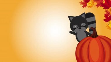 Rakunlarla Şükran Günü kutlamanız kutlu olsun.