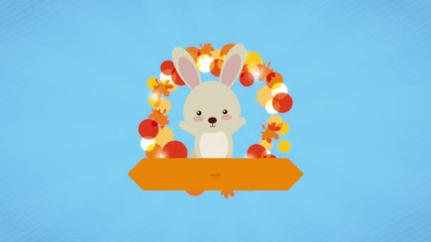 Fröhliche Erntedankfeier mit Kaninchen — Stockvideo