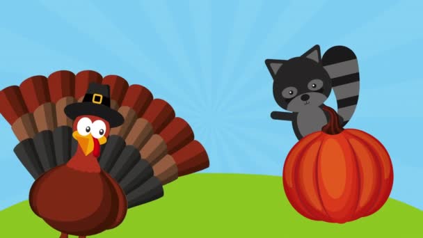 Feliz celebración de Acción de Gracias con pavo y mapache — Vídeo de stock