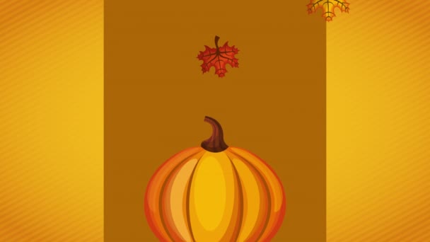 Feliz celebración de Acción de Gracias con calabaza — Vídeos de Stock