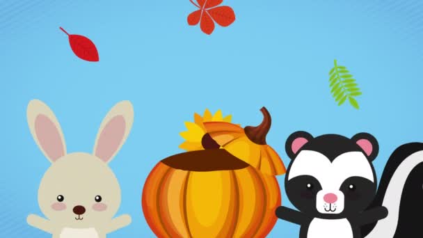 Fröhliche Erntedankfeier mit Hase und Stinktier — Stockvideo