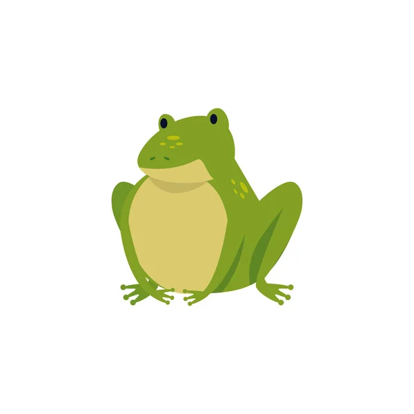 Cute toad animal isolated icon — Stock Vector