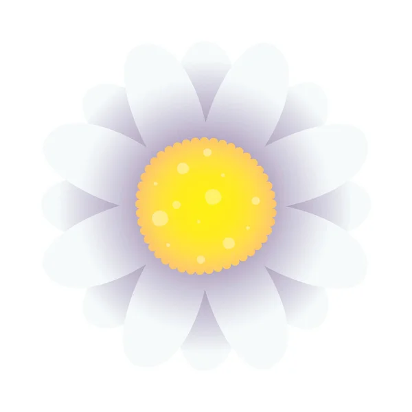 Krásná květina rostlina izolované ikony — Stockový vektor