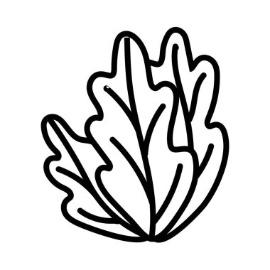 marul taze çizgi stili