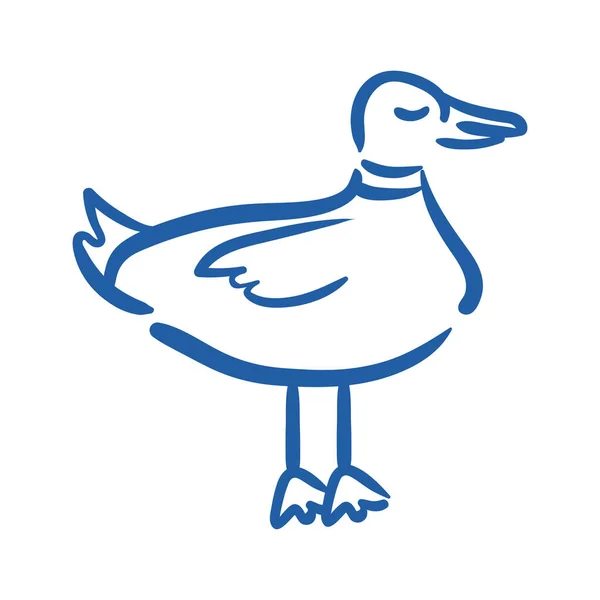 Duck bird hand draw style icon — Stock Vector