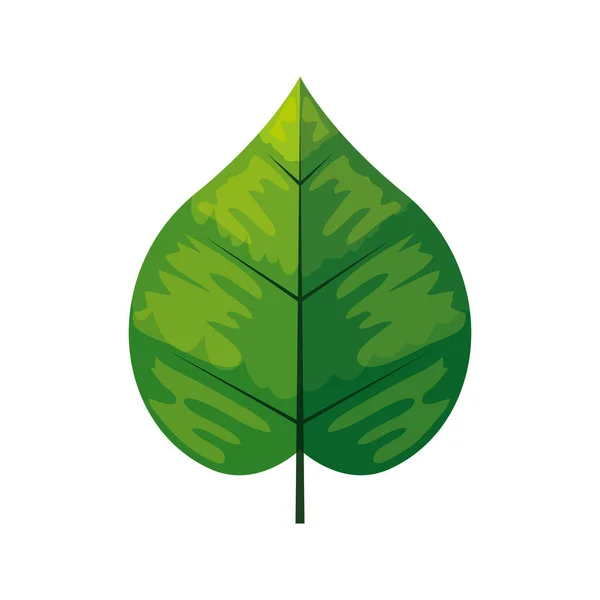 Eco zöld levél fehér háttér — Stock Vector