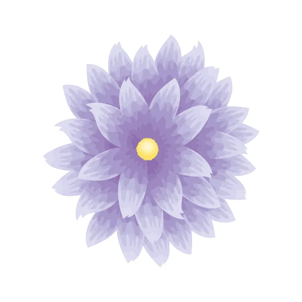 Kwiat fioletowy kolor, wiosenna koncepcja na białym tle — Wektor stockowy