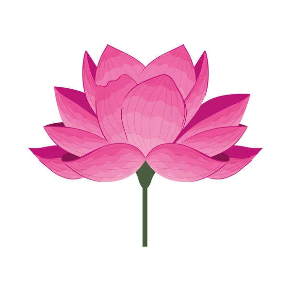 Flor cor-de-rosa, conceito de primavera no fundo branco — Vetor de Stock