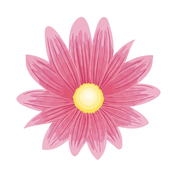 Flor color rosa, concepto de primavera sobre fondo blanco — Vector de stock