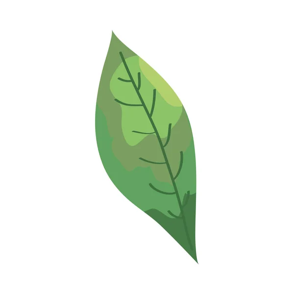 Ikona ekologii roślin liściastych izolowana — Wektor stockowy