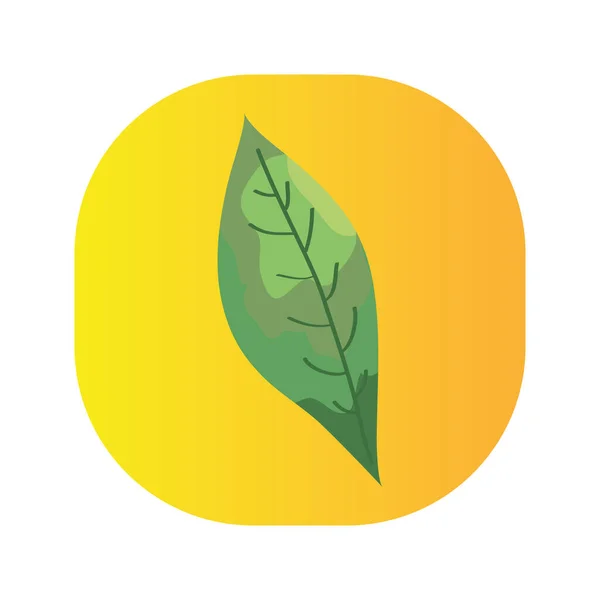 Feuille plante écologie isolé icône — Image vectorielle
