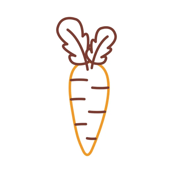 Carrot line style icon vector design — Stock Vector