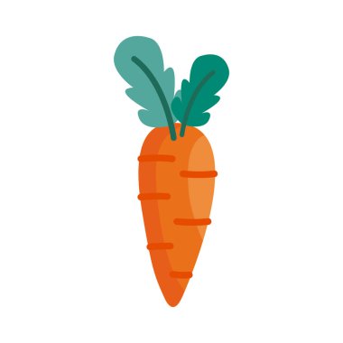 Havuç ayrıntısı biçim vektör tasarımı