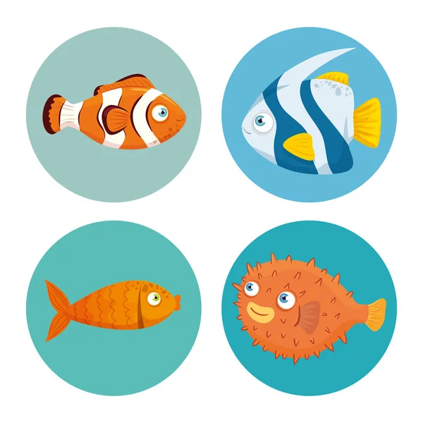Set fishes, sea world dwellers, cute underwater creatures, habitat marine — Stock Vector