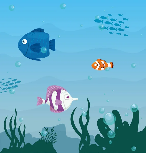 Lindo peces animales marinos salvajes en el océano, habitantes del mundo marino, criaturas submarinas lindas, concepto de hábitat marino — Vector de stock