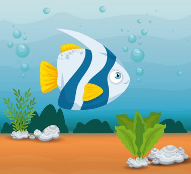 Okyanustaki süs balığı denizcisi, deniz dünyası sakini, tatlı sualtı yaratığı, doğal yaşam alanı deniz canlıları.