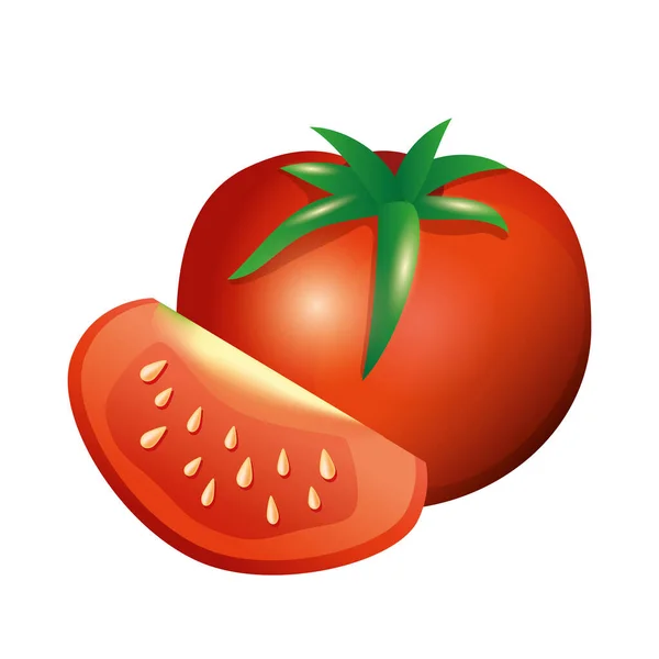 Diseño de vectores vegetales de tomates aislados — Archivo Imágenes Vectoriales