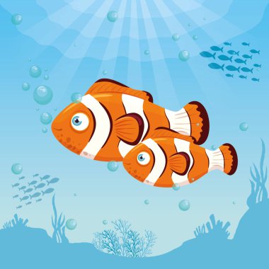 Okyanusta yüzen palyaço balıkları, deniz dünyası sakinleri, tatlı sualtı canlıları, doğal yaşam alanı deniz canlıları.