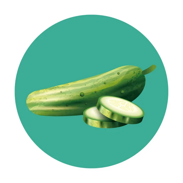 Ізольований огірок овоч Векторний дизайн — стоковий вектор