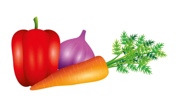 Peppar vitlök och morot grönsaker vektor design — Stock vektor