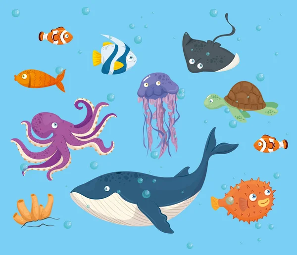 Chobotnice mořské v oceánu, s roztomilými podmořskými tvory, habitat mořské — Stockový vektor