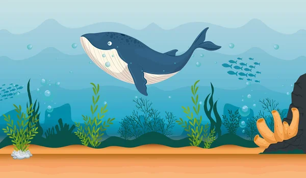 Kék bálna tengeri állat óceánban, tengeri világ lakója, aranyos víz alatti lény, élőhely tengeri, tenger alatti állatvilág trópusi — Stock Vector