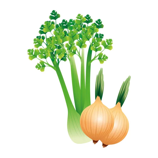 Apio y cebolla vegetal vector diseño — Vector de stock