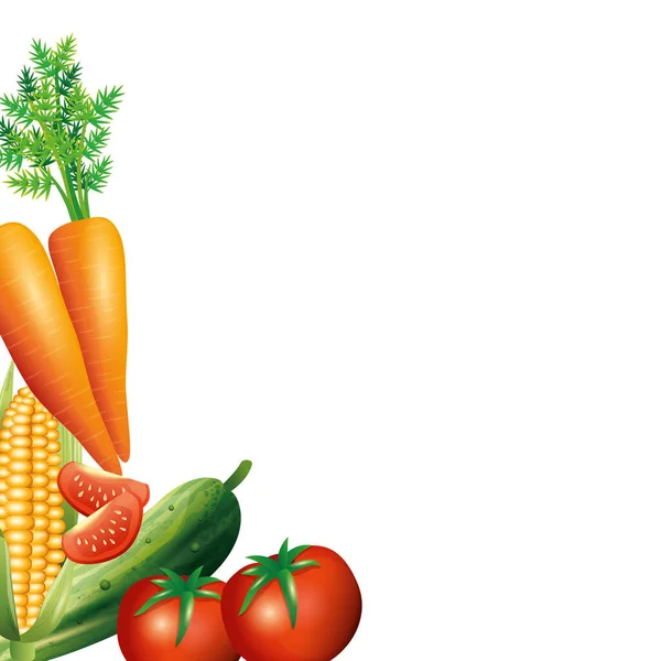 Zanahoria maíz pepino y tomate vector diseño — Vector de stock