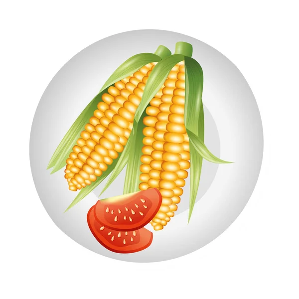 Conception vectorielle de tomates et de maïs — Image vectorielle
