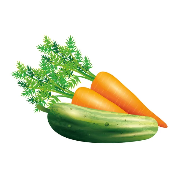 Zanahoria y pepino vegetal vector diseño — Archivo Imágenes Vectoriales
