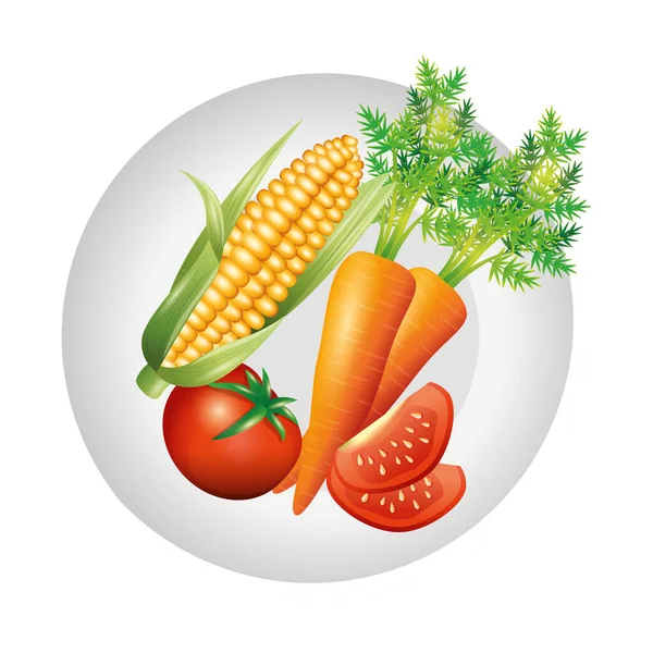 Conception vectorielle de maïs aux carottes et tomates — Image vectorielle