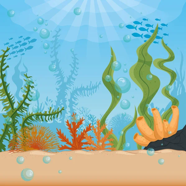 Underwater background, undersea reef, ocean with marine algae scene, habitat marine concept — Stock Vector