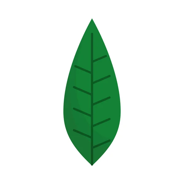 Blad plant ecologie geïsoleerd pictogram — Stockvector
