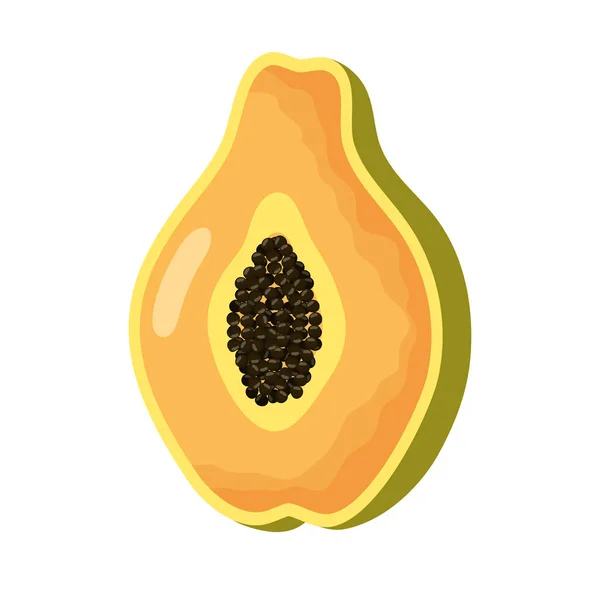 Papaya fresh fruit healthy icon — Stock Vector